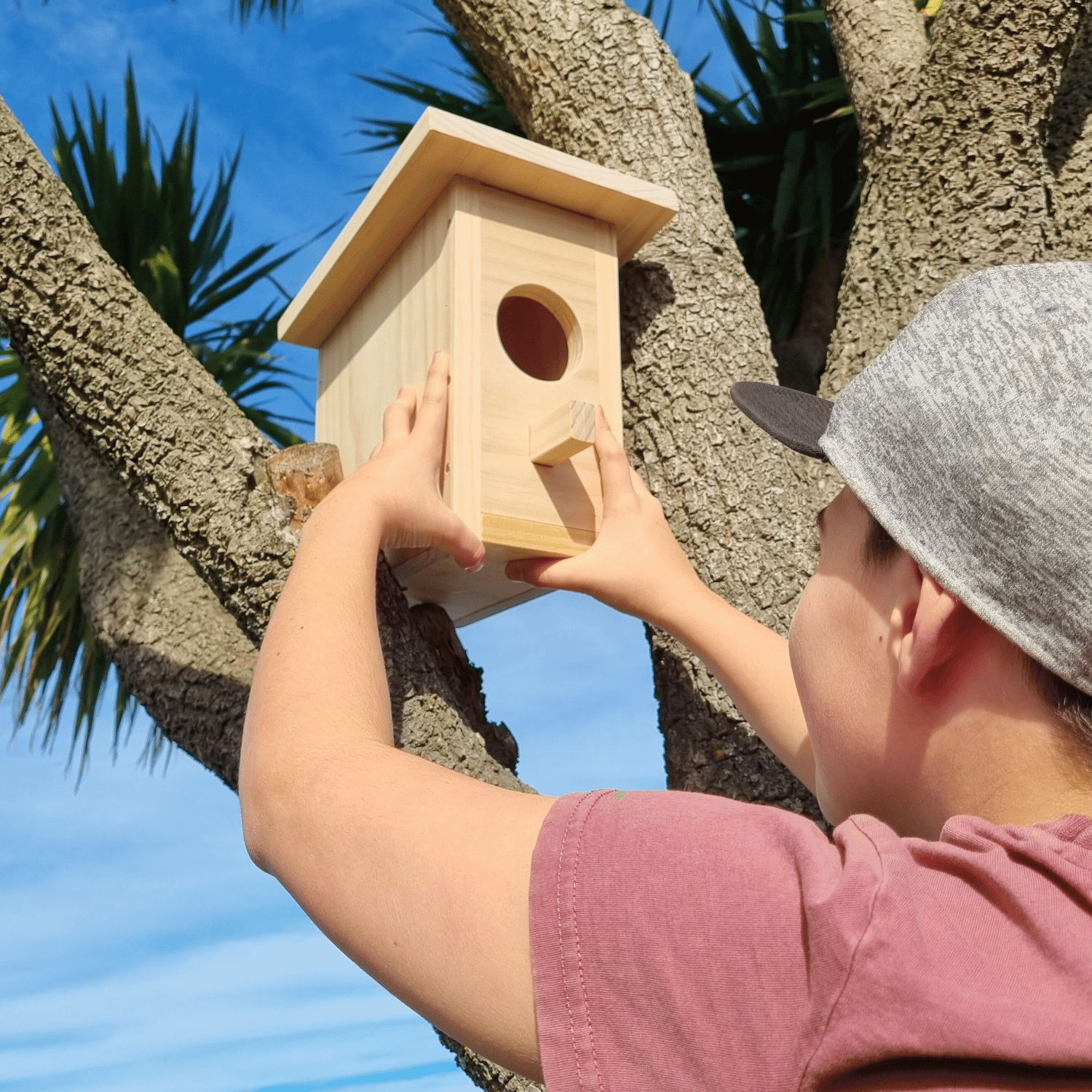 Plank Project - Bird House