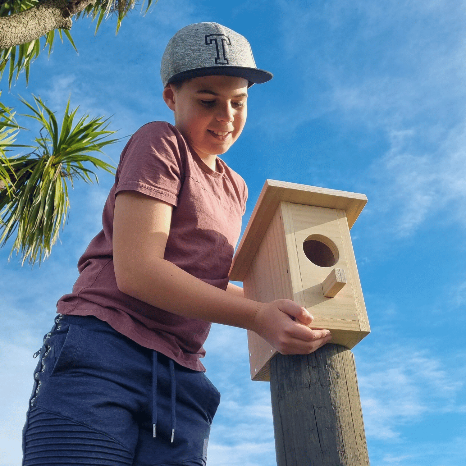 Plank Project - Bird House