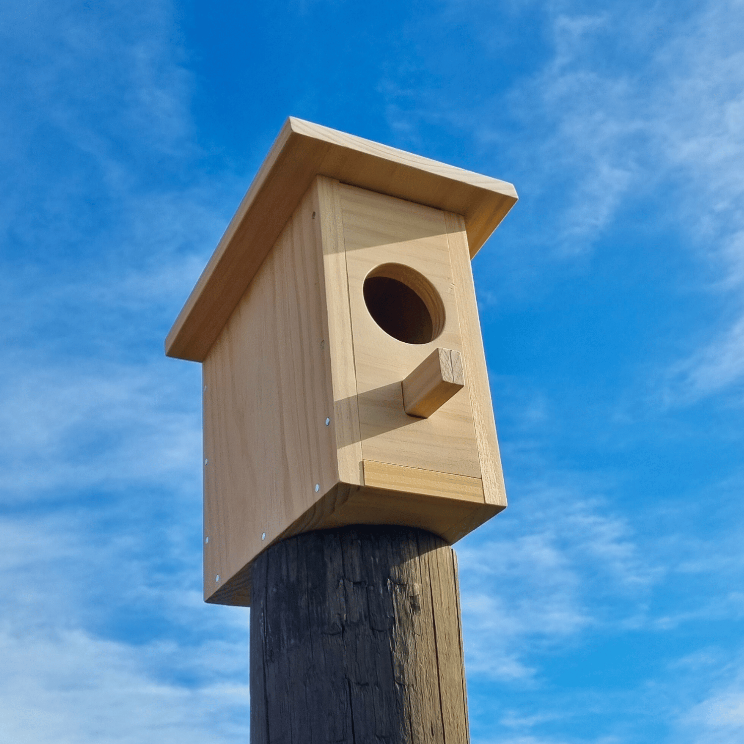 Plank Project - Bird House