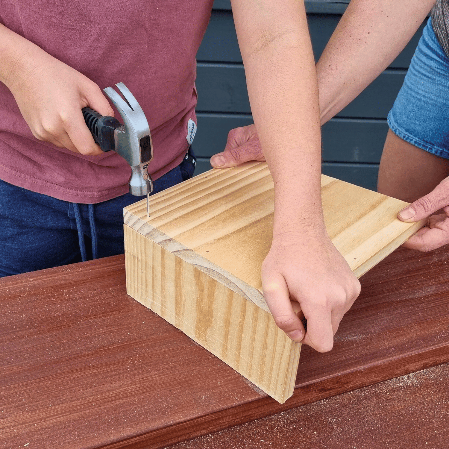 Plank Project - Bird House